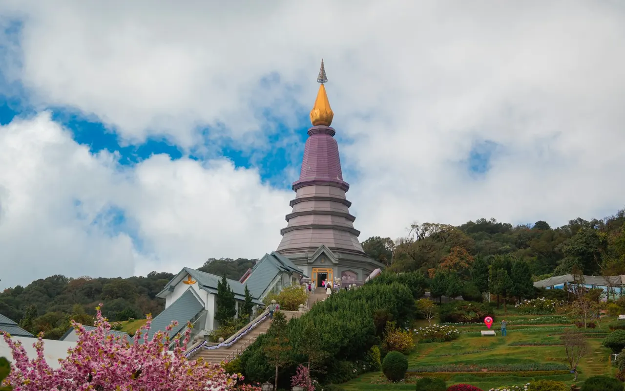 พระมหาธาตุบนดอยอินทนนท์และดอกไม้สีชมพู